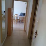 Adriatic Apartment